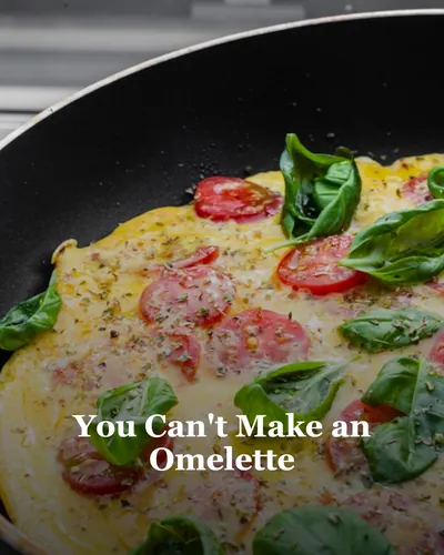 Cover image for You Can't Make an Omelette...