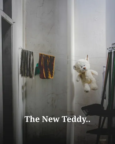 Cover image for The New Teddy..