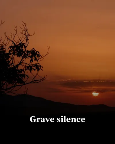 Cover image for Grave silence
