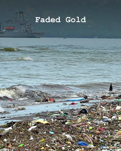 Cover image for Faded Gold