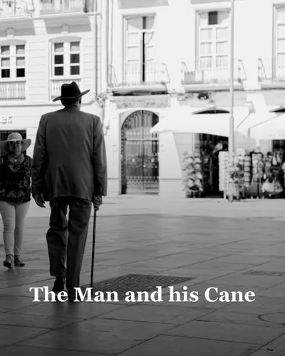 Cover image for The Man and his Cane