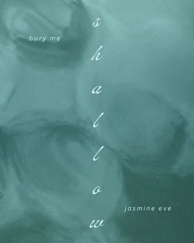 Cover image for Bury Me Shallow