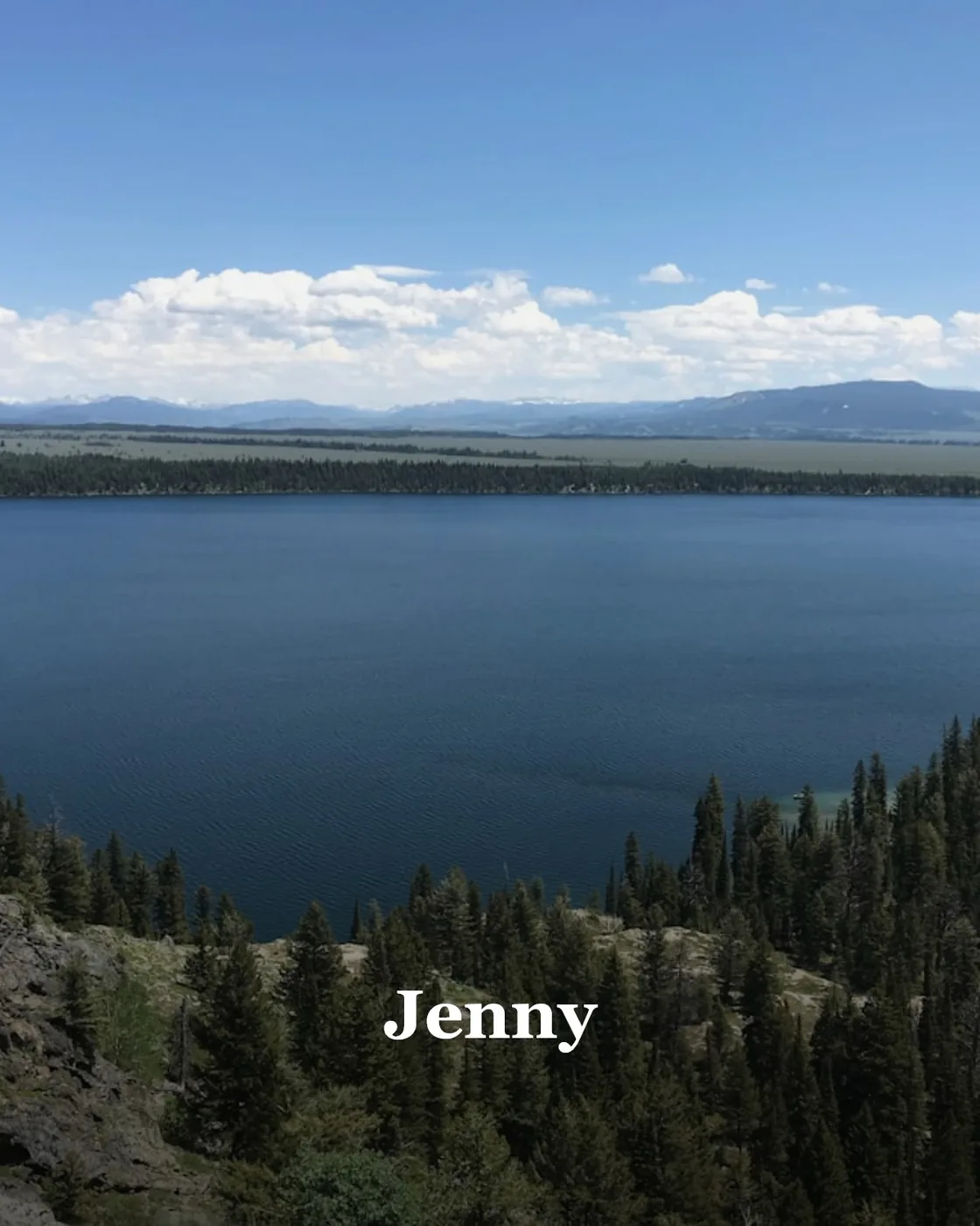 green pine trees near lake under blue sky during daytime